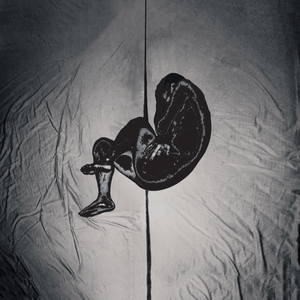 6488成人色情网站
