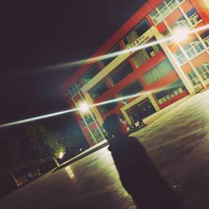 6488成人色情网站
