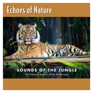 6488成人色情网站
